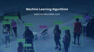 Machine Learning Algorithms